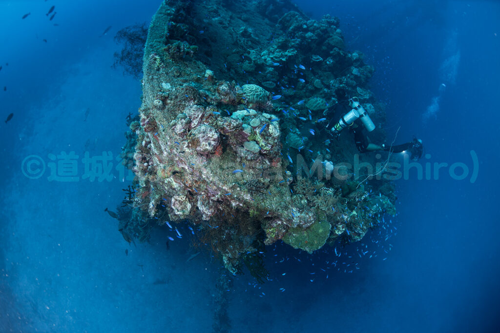 トラック空襲【2026/2/18】