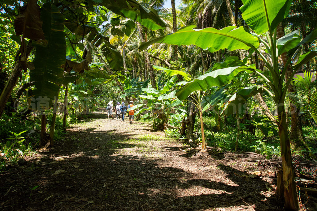 太平洋戦争は終わっていない【2026/3/19】