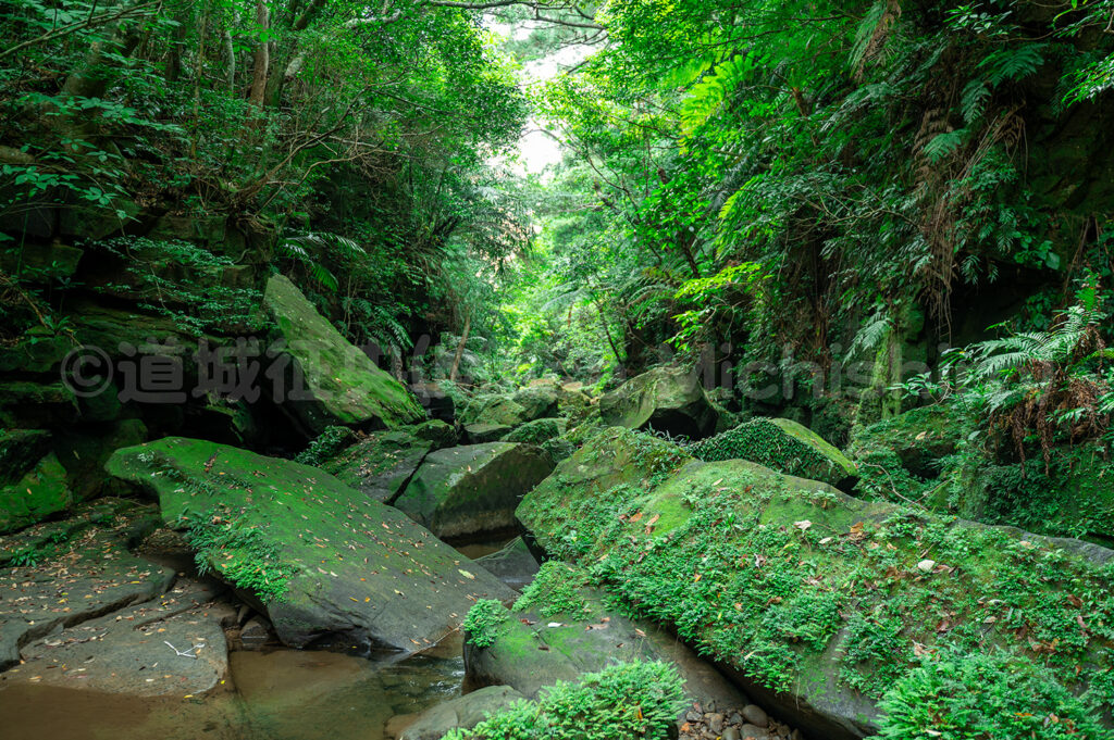 安心感を与える色