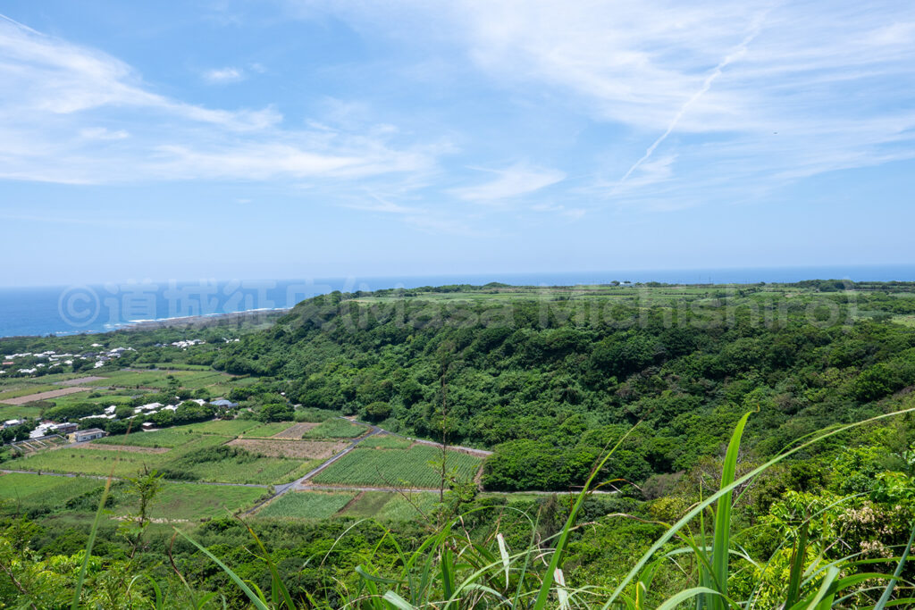 陸上で見られるサンゴ礁