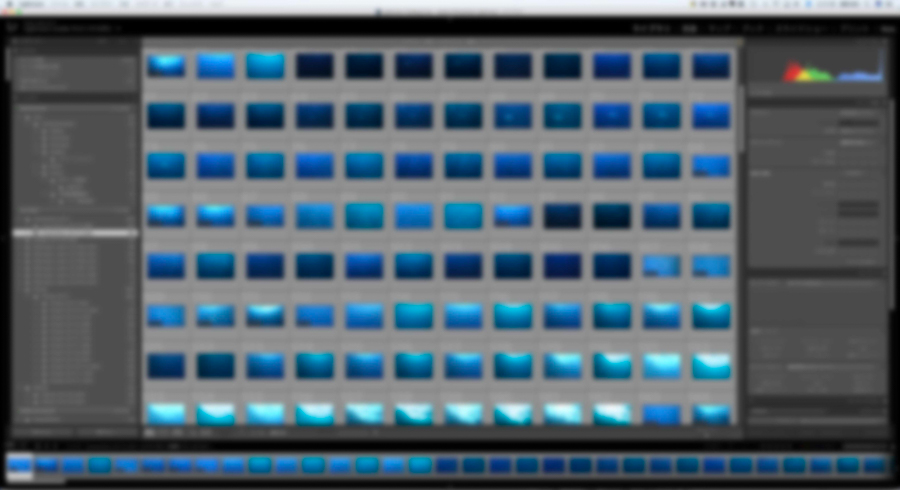 クロマグロの畜養【2017/7/5】