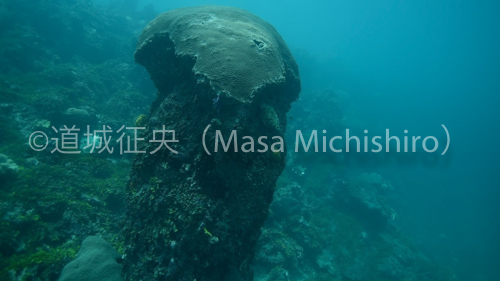 ナンマドール遺跡の入り口となる門［動画］