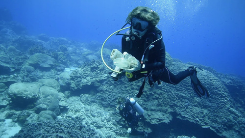 プラスチック資源循環促進法が施行されます【2022/3/31】