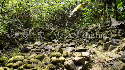 コスラエの遺跡［動画］