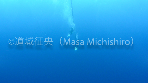 食べられる魚が住む海／味の素の活動から［動画］