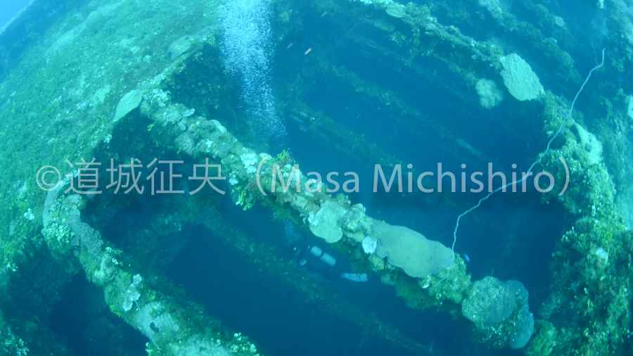 富士川丸、九七式艦上攻撃機を見に［動画］