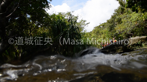 西表島の大見謝川［動画］