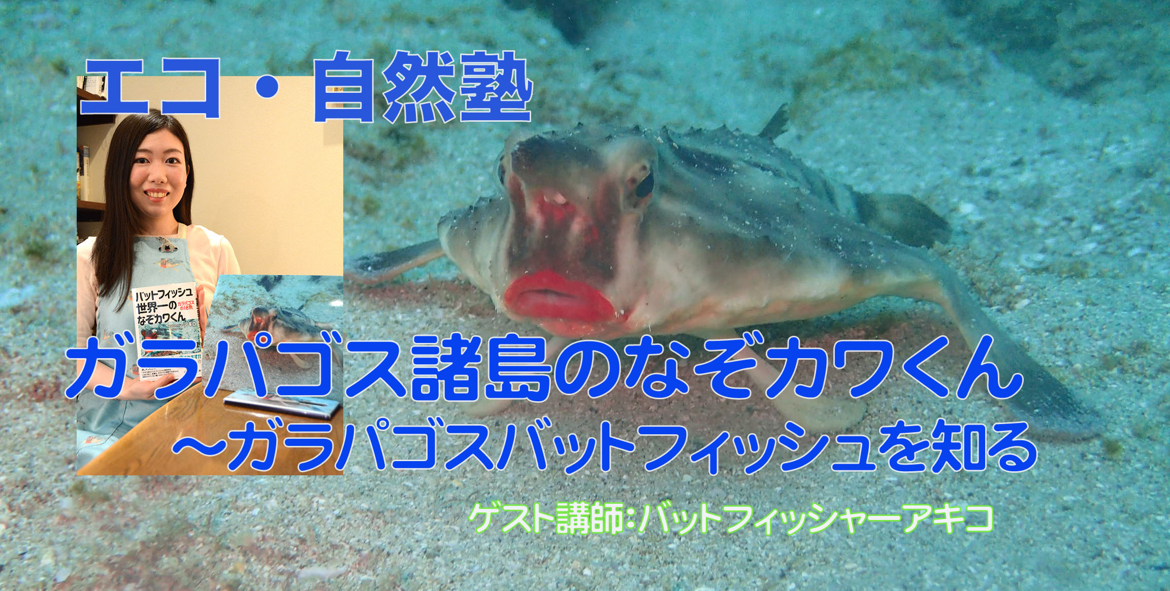 7／23の自然環境セミナー『エコ・自然塾』の案内