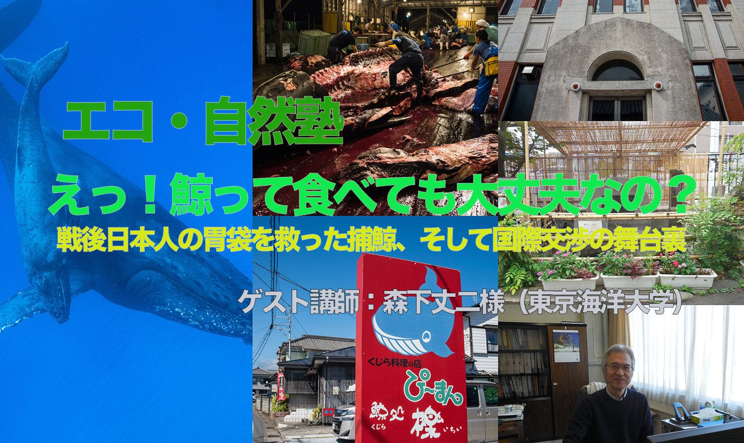 5月開催の『エコ・自然塾』の案内