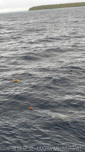 思ったこと「海は天然のゴミ箱」【2014/11/20】