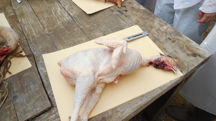 フードロスを考える【2018/1/17】