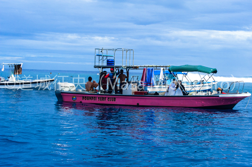 サーフポイント混雑？