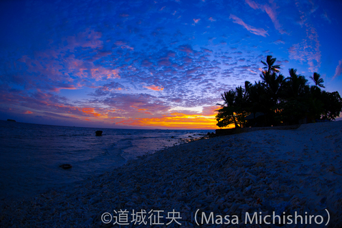 明日からジープ島ツアー