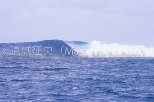 コリオカの力で吹く北東貿易風なのだが