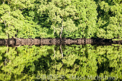 ミクロネシアの秘境へ
