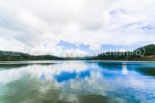 ジャングル満載の西表島