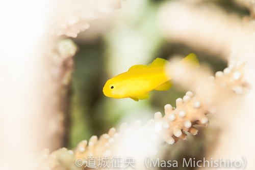 イライラとの格闘