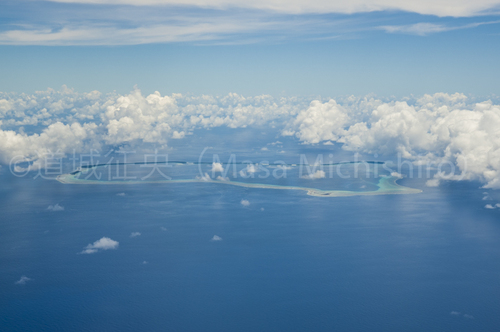 ミント環礁なのか？