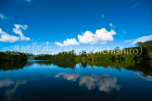 数少ない晴れ間