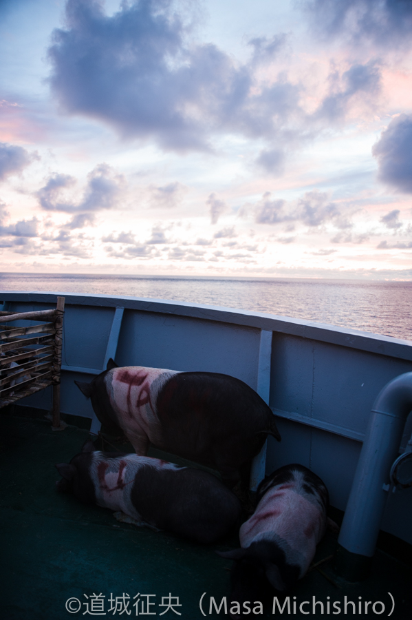 スカトロというかカオス【2015/1/7】
