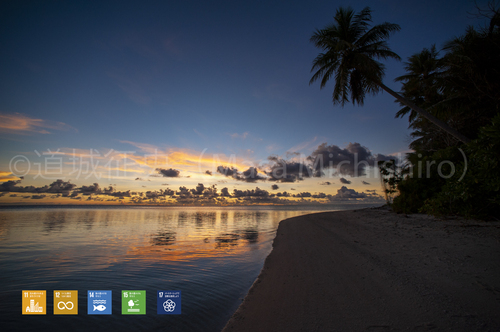 独り占めの景色