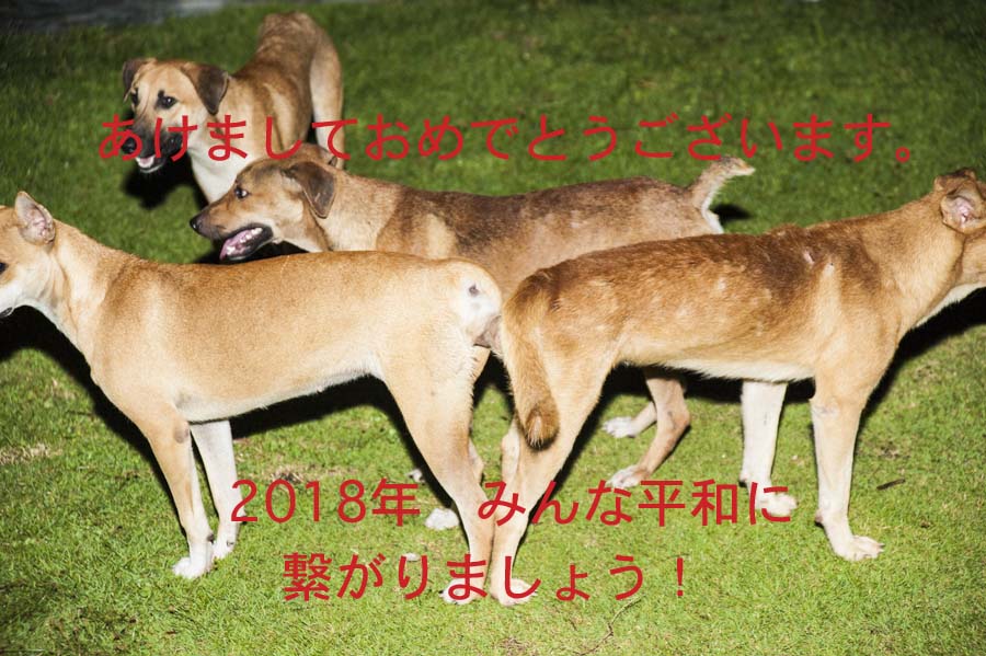 2018年（平成30年）、あけましておめでとうございます【2018/1/1】