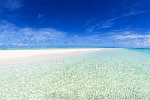 気まぐれなビーチ