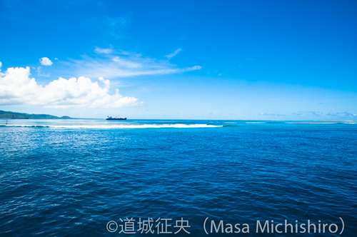 エルニーニョを実感できました【2014/12/17】