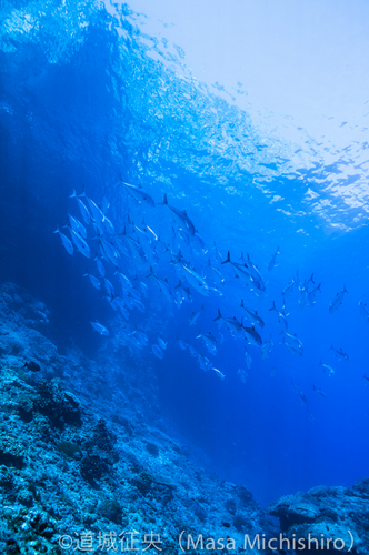 激流の閂ロック