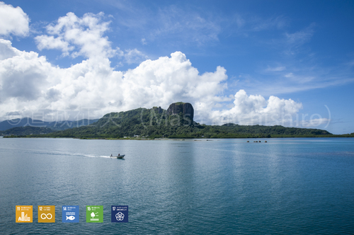 ミクロネシア連邦の象徴