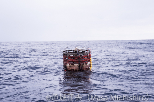 パヤオでの作業ダイビング