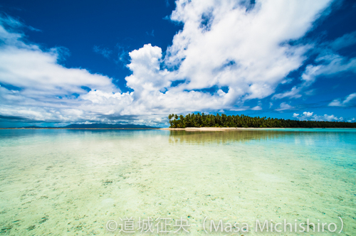 ただいま絶好調宣言中！