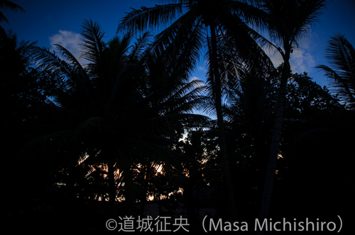 これが普通のルクノーチ