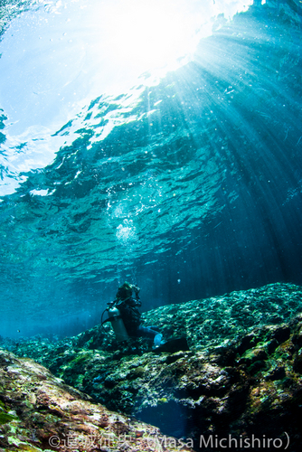 水の中か？地上なのか？