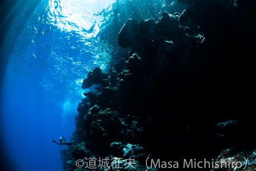 マリアナブルーの海