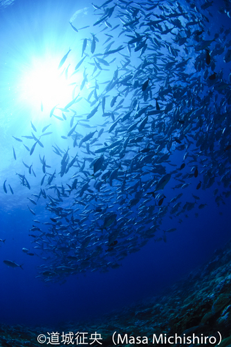 手付かずの自然のなかで