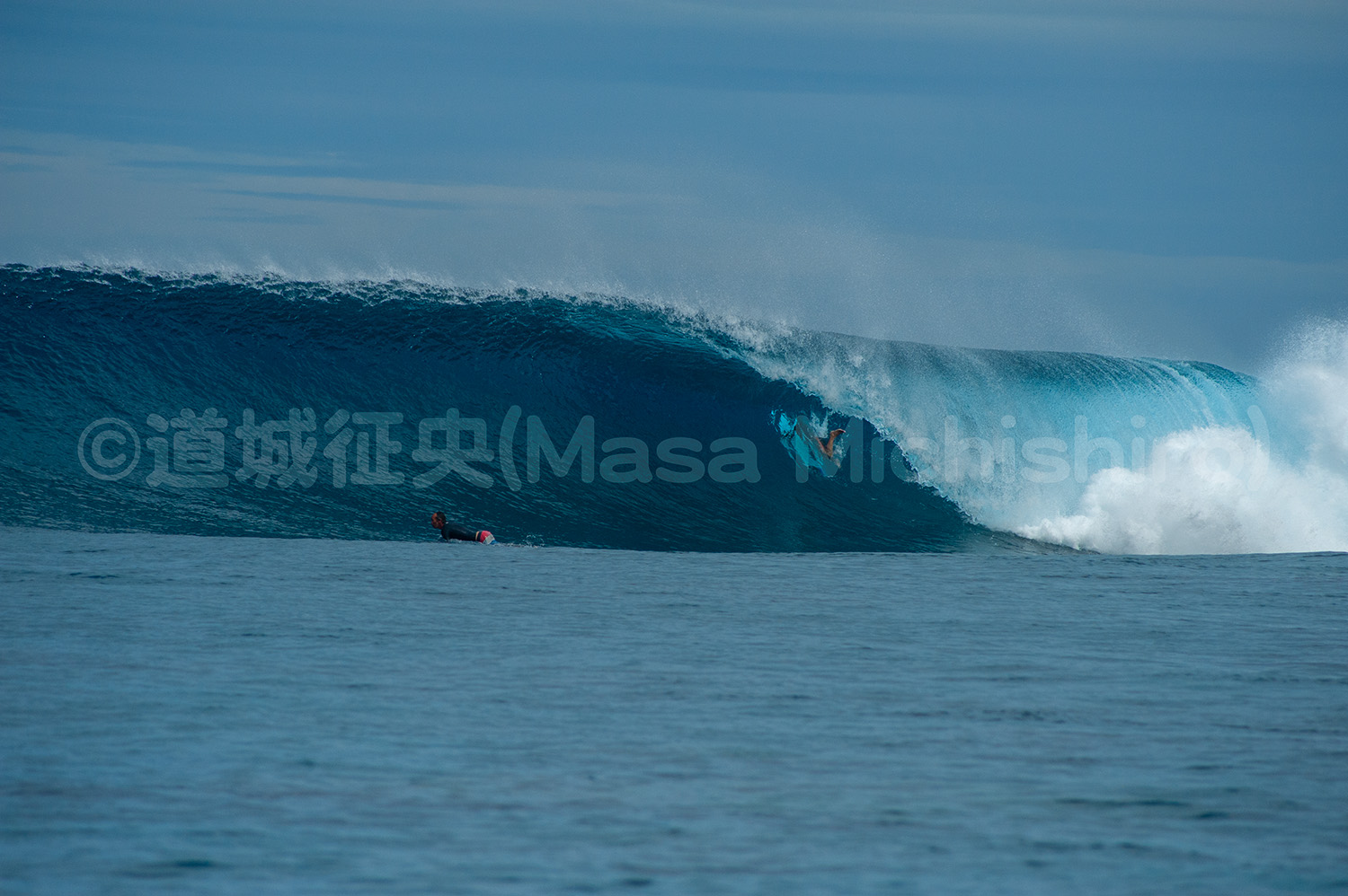 エルニーニョにラニーニャに目まぐるしい【2024/9/11】