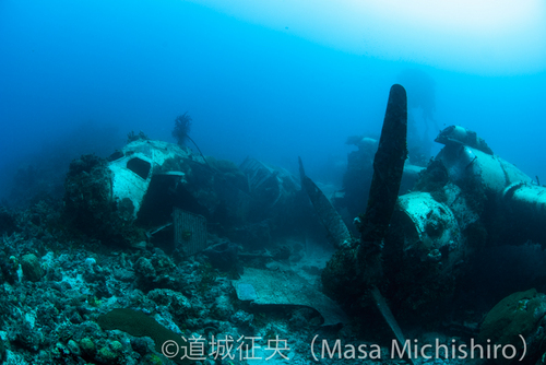 保存状態も良いチュークの水上飛行艇