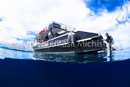 穏やかな西表の海