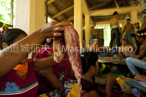 ブタを振る舞うポンペイでのカマテップ