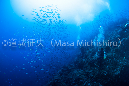 自然はタイミングが命