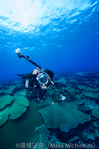 カメラマン二人で