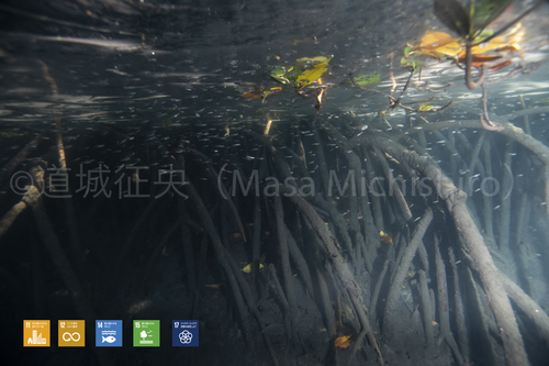 人間にとって適していなくても生物には楽園