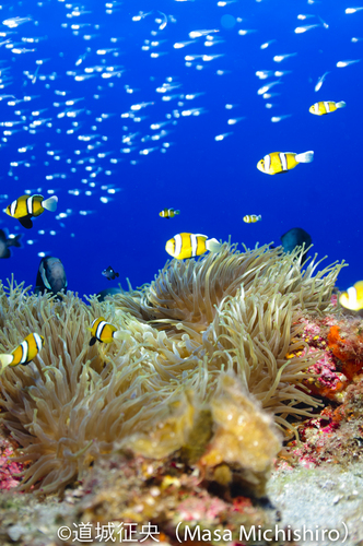 行くのは大変だが見つかった時は感動モノ