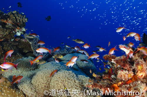 まるで水槽のよう