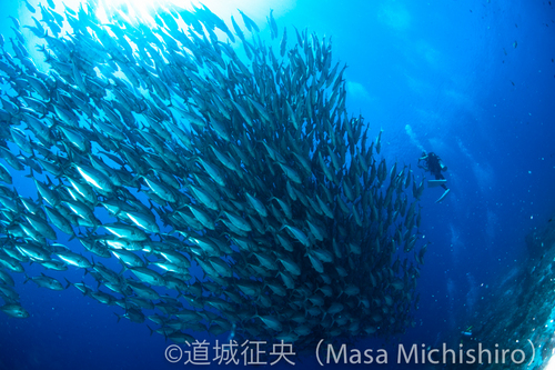 流されているのはどっち？