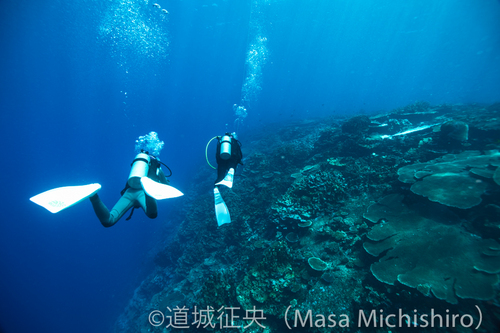 落ち込んでいくサンゴ礁という地形