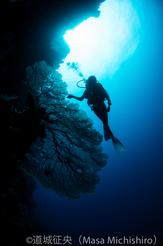 秘密のある高い透明度