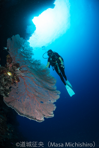 ストロボの機能