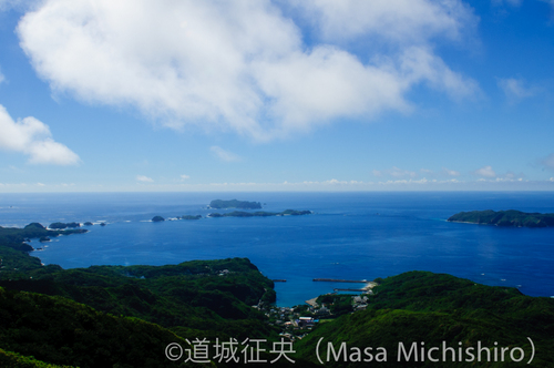 ムニンノボタン咲き始める